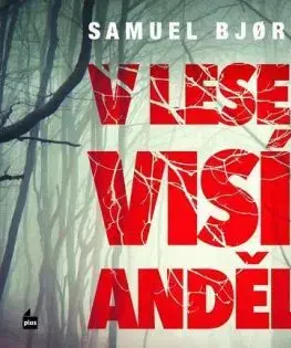 V lese visí anděl (audiokniha) - Samuel Bjork