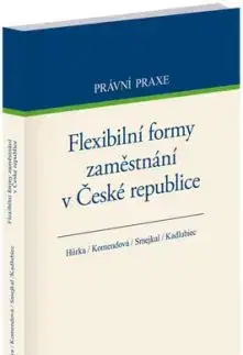 Flexibilní formy zaměstnání v České republice - Petr Hůrka, Jana Komendová