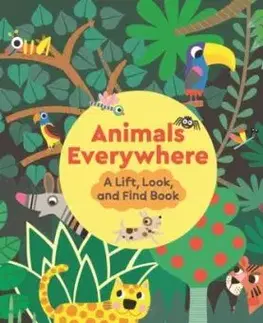 Animals Everywhere: A Lift, Look, and Find Book - Stephanie Babin