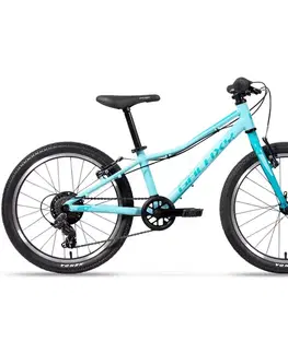 Galaxy Cetis 20" - model 2025 tyrkysová - 10" (113-135 cm)