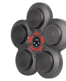 inSPORTline Smartpunch