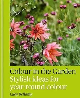Colour in the Garden - Lucy Bellamy