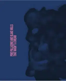Palladino Pino & Blake Mills - That Wasn't A Dream LP - Pino Palladino, Mills Blake