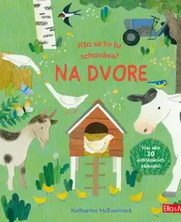 Kto sa to tu schováva? Na dvore – Knižka s odklápacími okienkami - Katharine McEwenová, Katharine McEwenová