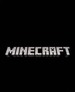 Minecraft Spot the Skeleton Search and Find - Mojang AB