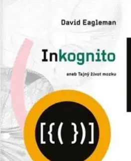 Inkognito - David Eagleman