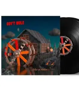 Gov't Mule - Peace...Like A River 2LP - Gov't Mule