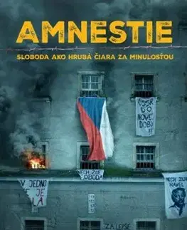 Amnestie. Sloboda ako hrubá čiara za minulosťou - Danglár Gertli Jozef