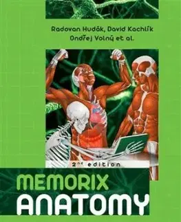 Memorix anatomy