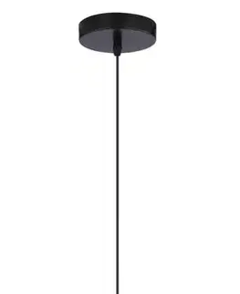 Závesná stropná lampa 1X60W E27 sivá + chróm PATCH