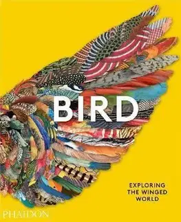 Bird: Exploring the Winged World - Jen Lobo, Katrina van Grouw