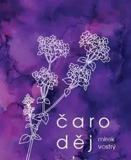Čarodějnice - Mirek Vostrý