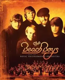 Beach Boys, The - The Beach Boys With The Royal Philharmonic Orchestra 2LP - The Beach Boys