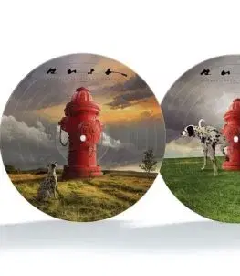 Rush - Signals: 40th Anniversary (Picture Disc) LP - Rush