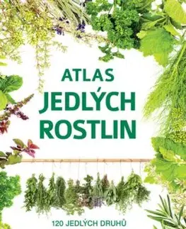 Atlas jedlých rostlin
