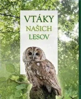 Vtáky našich lesov, 2. vydanie - Caz Buckingham, Lukáš Ondrejkovič