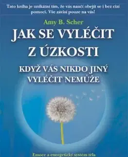 Jak se vyléčit z úzkosti, když vás nikdo jiný vyléčit nemůže - Amy B. Scher