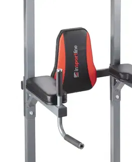 inSPORTline Power Tower PT300