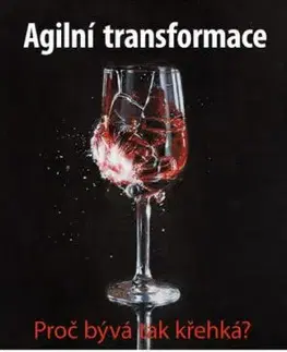 Agilní transformace - Anton Březina