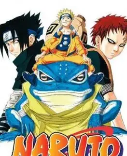 Naruto 13. - Képregény - Maszasi Kisimoto
