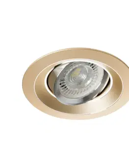 Stropné bodové svietidlo Colie DTO-G 26741