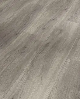 PARADOR Basic 5.3 SPC Dub pastelovo sivý kartáčovaná štruktúra 1743005