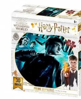 3D puzzle Harry Potter 300 dielikov
