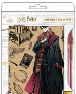 Harry Potter blok s perom (Navy & Gold) DPL6