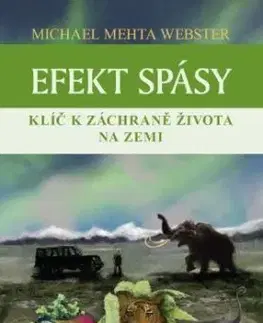 Efekt spásy - Michael Mehta Webster
