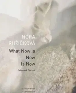 What Now Is Now Is Now - Nóra Ružičková