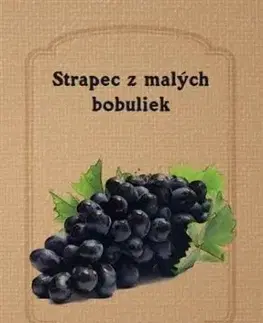 Strapec z malých bobuliek - Jaroslav Nináč