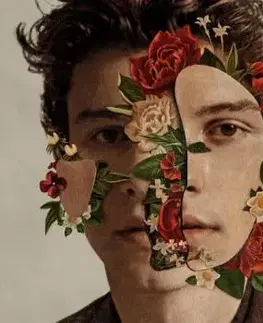 Mendes Shawn - Shawn Mendes LP - Shawn Mendes