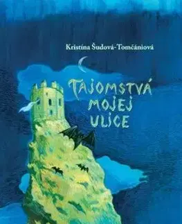 Tajomstvá mojej ulice - Kristína Šudová-Tomčániová