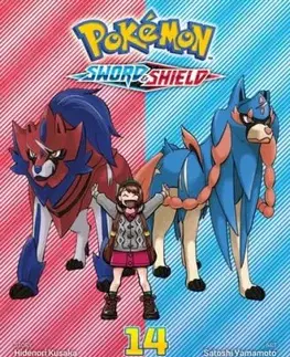 Pokemon: Sword & Shield, Vol. 14 - Hidenori Kusaka