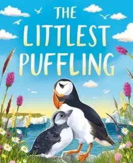 The Littlest Puffling - Holly Webb