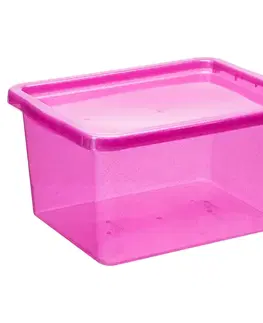 PLAST TEAM - Box BASIC 20L Pink Glitter
