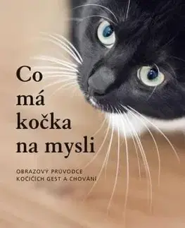 Co má kočka na mysli, 2. vydání - Brigitte Widmann Rauth