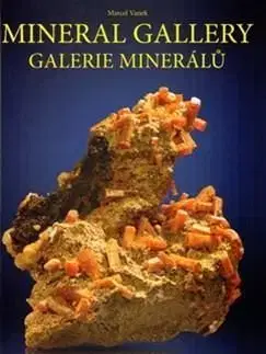 Galerie minerálů - Marcel Vanek