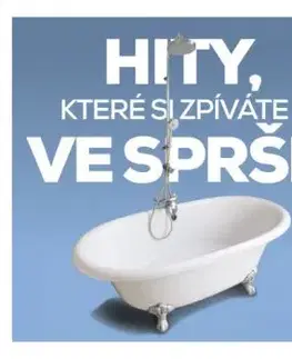 Various - Hity, které si zpívate ve sprše 2CD - Various Artists