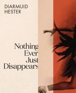 Nothing Ever Just Disappears - Diarmuid Hester