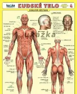 Ľudské telo - karta - Petr Kupka