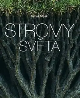 Stromy světa - Tomáš Míček