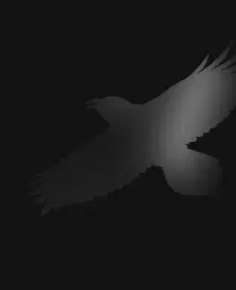 Sigur Rós - Odins Raven Magic (With Steindór Andersem, Hilmar Örn Hilmarsson and María Huld Markan Sigfúsdóttir) 2LP - Sigur Rós