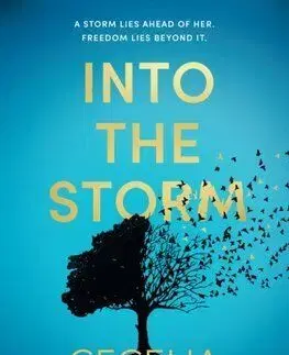 Into the Storm - Cecelia Ahern