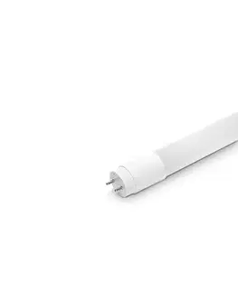  LED Žiarivková trubica ECOSTER T8 G13/9W/230V 6500K 60 cm TL-ES0906-65