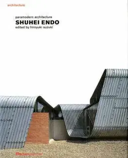 Shuhei Endo Paramodern Archit