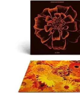 Siouxie & The Banshees - All Souls (Deluxe Edition) LP - Siouxie & The Banshees