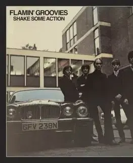 Flamin' Groovies, The - Shake Some Action 2LP - The Flamin' Groovies
