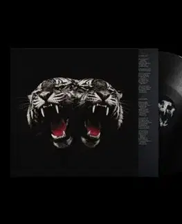 Royal Blood - Dead Company LP