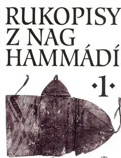 Rukopisy z Nag Hammádí 1 - Petr Pokorný